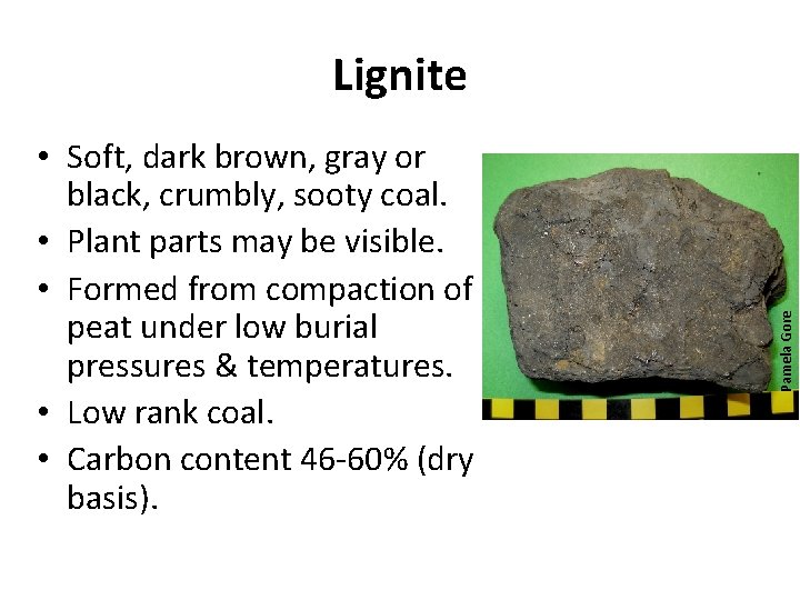  • Soft, dark brown, gray or black, crumbly, sooty coal. • Plant parts