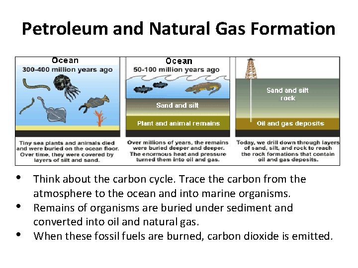 Petroleum and Natural Gas Formation • • • Think about the carbon cycle. Trace