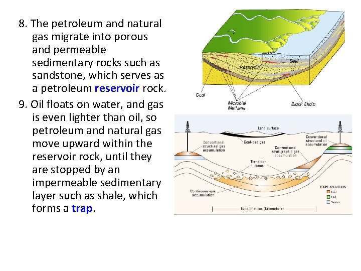 8. The petroleum and natural gas migrate into porous and permeable sedimentary rocks such