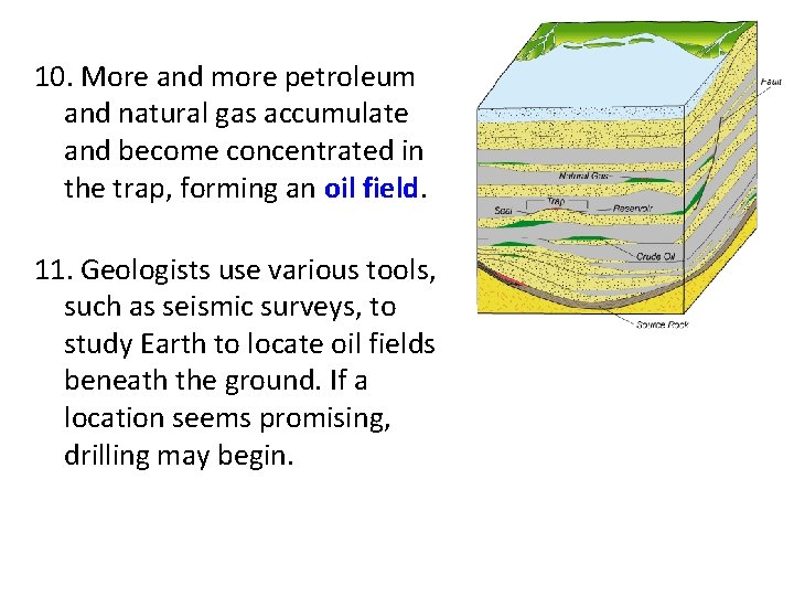 10. More and more petroleum and natural gas accumulate and become concentrated in the