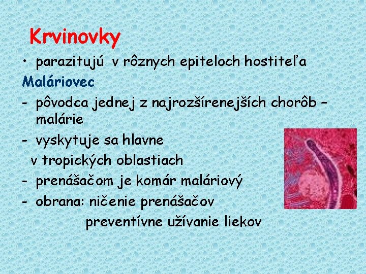 Krvinovky • parazitujú v rôznych epiteloch hostiteľa Maláriovec - pôvodca jednej z najrozšírenejších chorôb