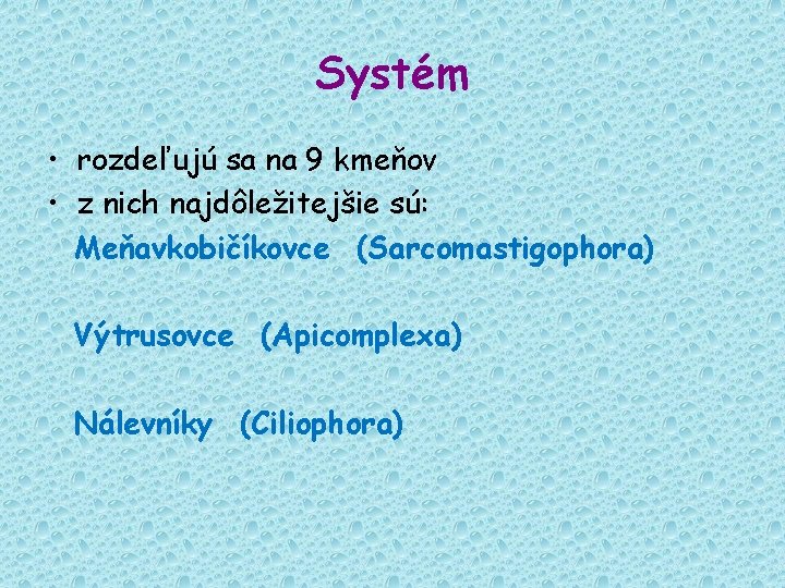 Systém • rozdeľujú sa na 9 kmeňov • z nich najdôležitejšie sú: Meňavkobičíkovce (Sarcomastigophora)