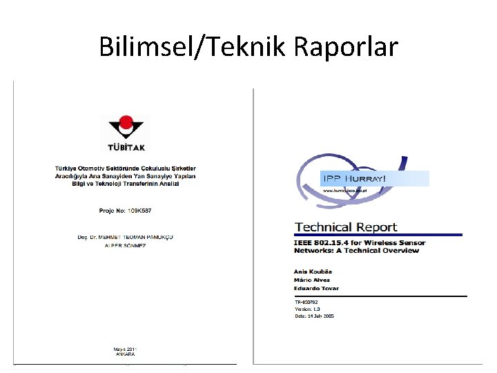 Bilimsel/Teknik Raporlar 