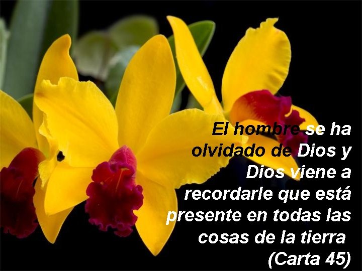 El hombre se ha olvidado de Dios y Dios viene a recordarle que está