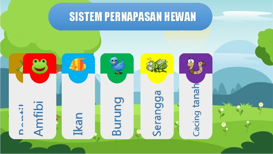 Cacing tanah Serangga Burung Ikan Reptil Amfibi SISTEM PERNAPASAN HEWAN 