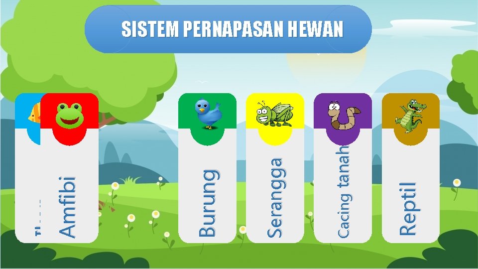 Reptil Cacing tanah Serangga Burung Ikan Amfibi SISTEM PERNAPASAN HEWAN 