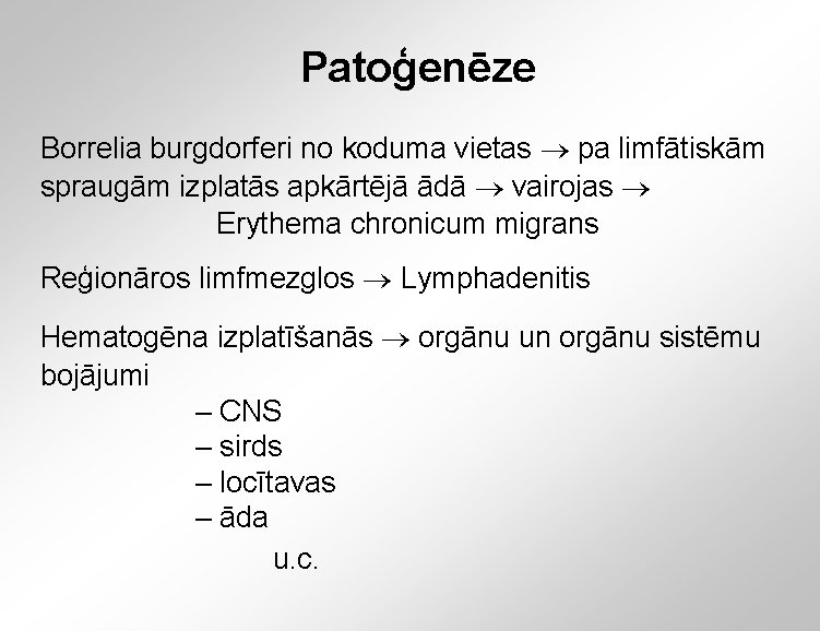 Patoģenēze Borrelia burgdorferi no koduma vietas pa limfātiskām spraugām izplatās apkārtējā ādā vairojas Erythema