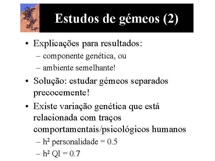 Estudos de gémeos (2) • Explicações para resultados: – componente genética, ou – ambiente