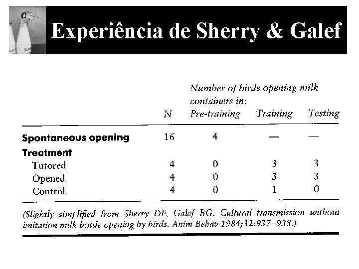 Experiência de Sherry & Galef 