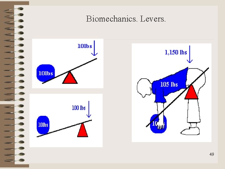 Biomechanics. Levers. 49 