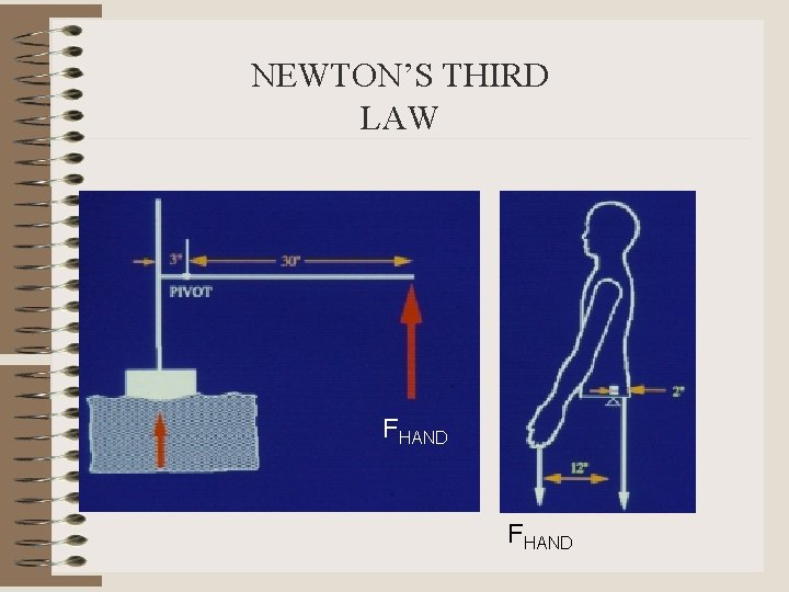 NEWTON’S THIRD LAW FHAND 