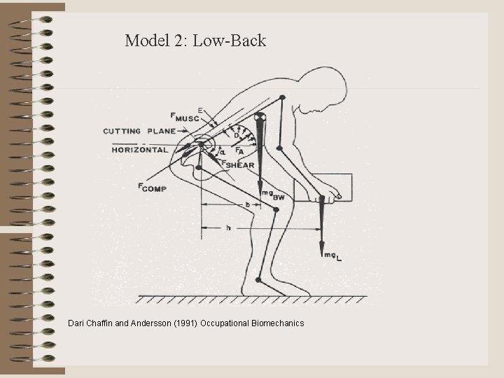 Model 2: Low-Back Dari Chaffin and Andersson (1991) Occupational Biomechanics 