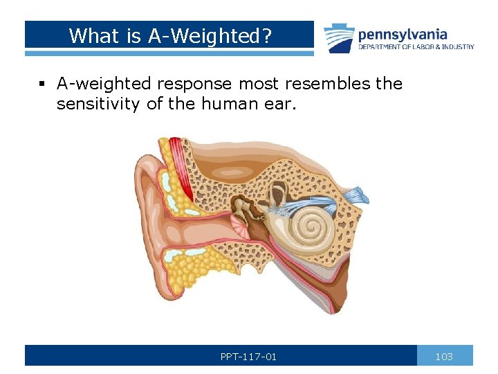 What is A-Weighted? § A-weighted response most resembles the sensitivity of the human ear.