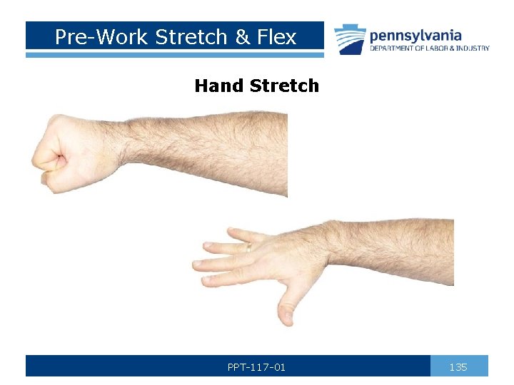 Pre-Work Stretch & Flex Hand Stretch PPT-117 -01 135 