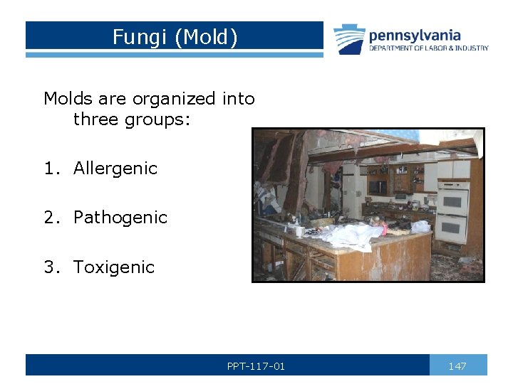 Fungi (Mold) Molds are organized into three groups: 1. Allergenic 2. Pathogenic 3. Toxigenic