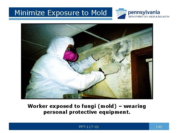 Minimize Exposure to Mold Worker exposed to fungi (mold) – wearing personal protective equipment.