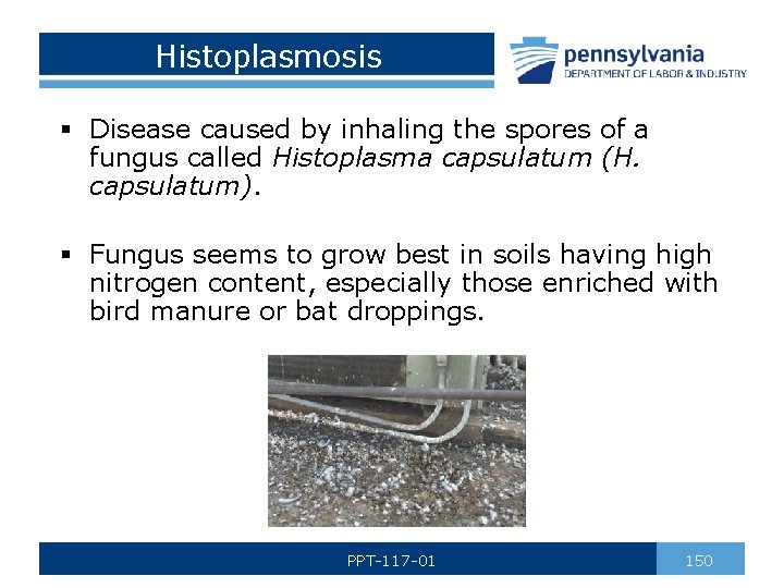 Histoplasmosis § Disease caused by inhaling the spores of a fungus called Histoplasma capsulatum