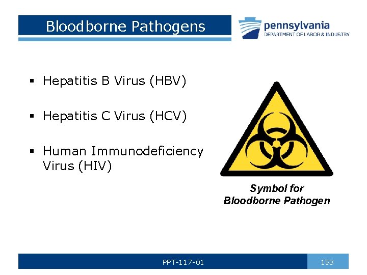 Bloodborne Pathogens § Hepatitis B Virus (HBV) § Hepatitis C Virus (HCV) § Human