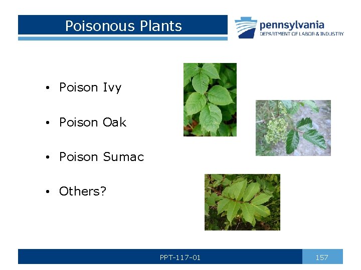 Poisonous Plants • Poison Ivy • Poison Oak • Poison Sumac • Others? PPT-117