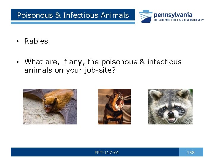 Poisonous & Infectious Animals • Rabies • What are, if any, the poisonous &