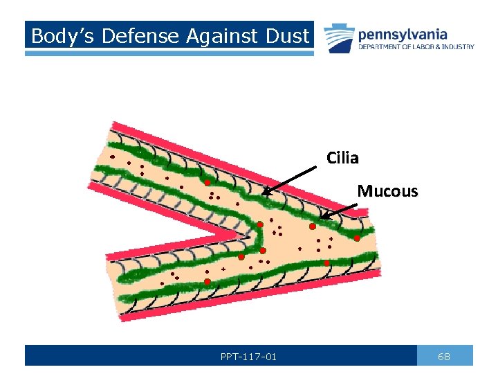 Body’s Defense Against Dust Cilia Mucous PPT-117 -01 68 