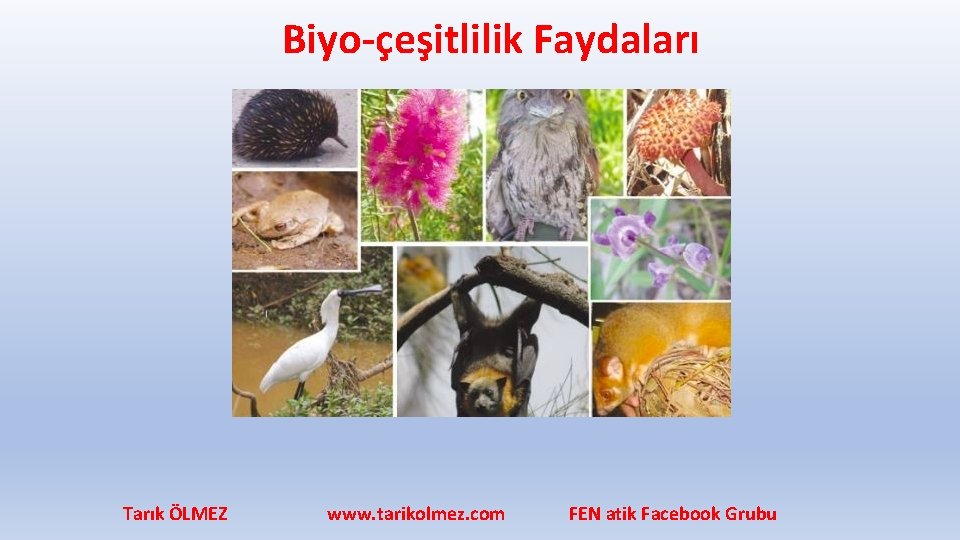 Biyo-çeşitlilik Faydaları Tarık ÖLMEZ www. tarikolmez. com FEN atik Facebook Grubu 