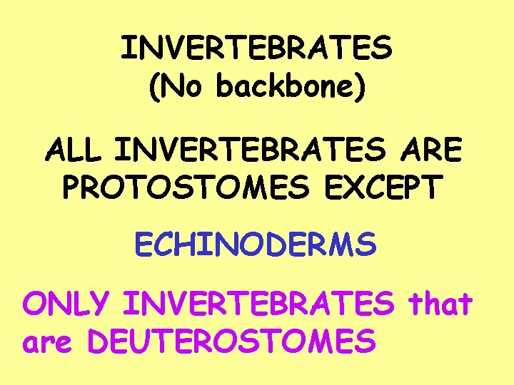 INVERTEBRATES (No backbone) ALL INVERTEBRATES ARE PROTOSTOMES EXCEPT ECHINODERMS ONLY INVERTEBRATES that are DEUTEROSTOMES INVERTEBRATES (No backbone) ALL INVERTEBRATES ARE PROTOSTOMES EXCEPT ECHINODERMS ONLY INVERTEBRATES that are DEUTEROSTOMES
