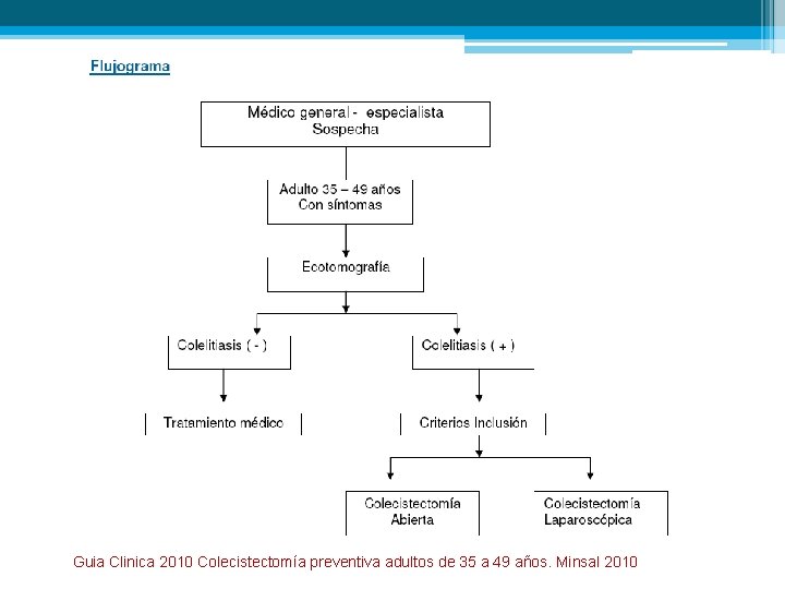 Guia Clinica 2010 Colecistectomía preventiva adultos de 35 a 49 años. Minsal 2010 