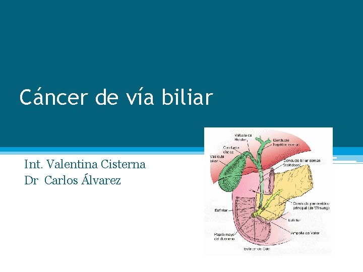 Cáncer de vía biliar Int. Valentina Cisterna Dr Carlos Álvarez 