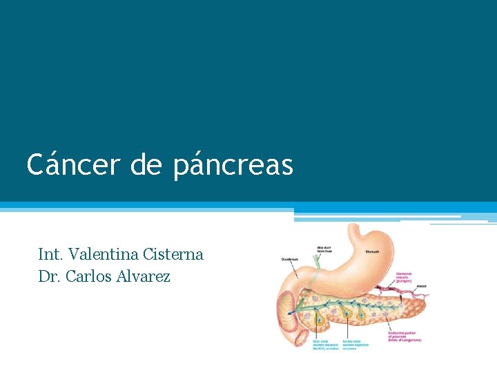 Cáncer de páncreas Int. Valentina Cisterna Dr. Carlos Alvarez 