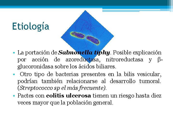 Etiología • La portación de Salmonella tiphy. Posible explicación por acción de azoreductasa, nitroreductasa