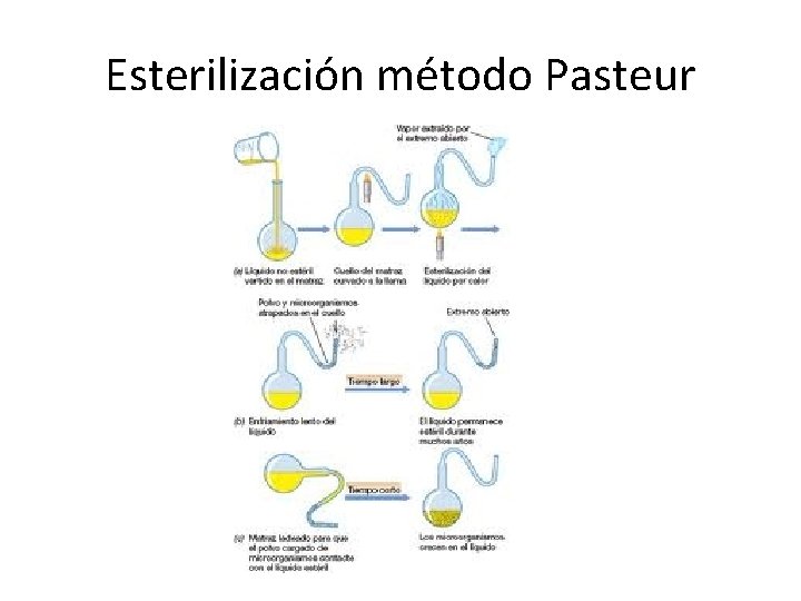 Esterilización método Pasteur 
