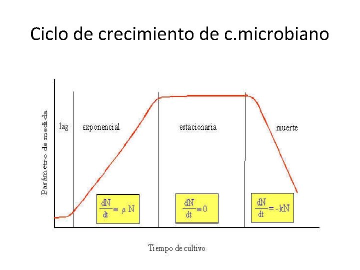 Ciclo de crecimiento de c. microbiano 
