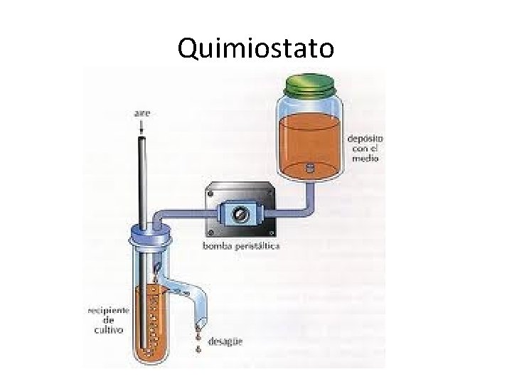 Quimiostato 