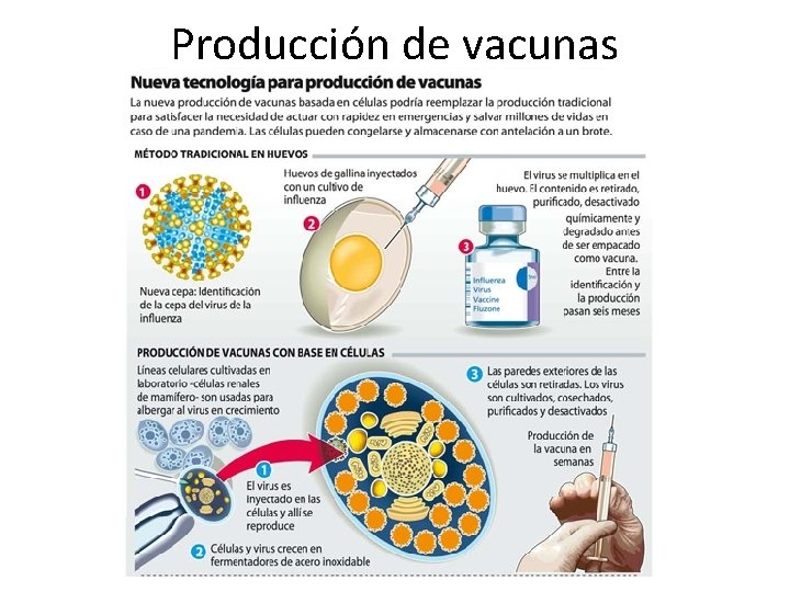 Producción de vacunas 