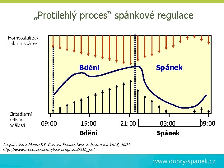 „Protilehlý proces“ spánkové regulace Homeostatický tlak na spánek Spánek Bdění Circadianní kolísání bdělosti 09: