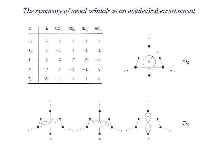 The symmetry of metal orbitals in an octahedral environment A 1 g T 1