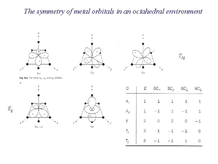 The symmetry of metal orbitals in an octahedral environment T 2 g Eg 