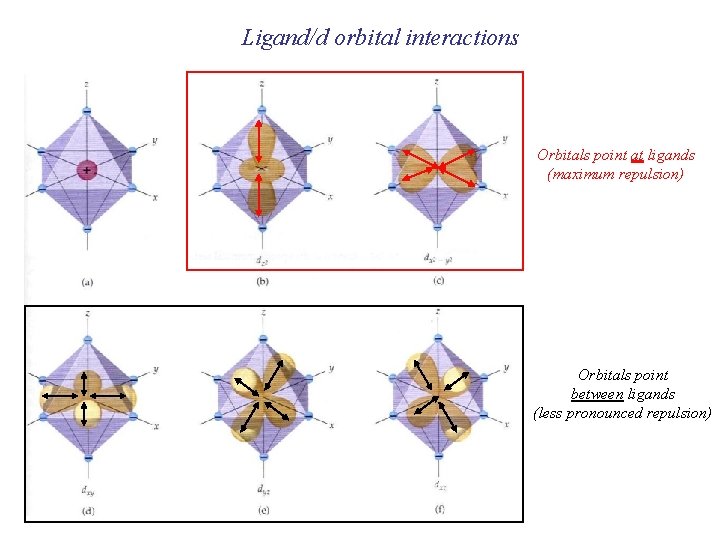 Ligand/d orbital interactions Orbitals point at ligands (maximum repulsion) Orbitals point between ligands (less