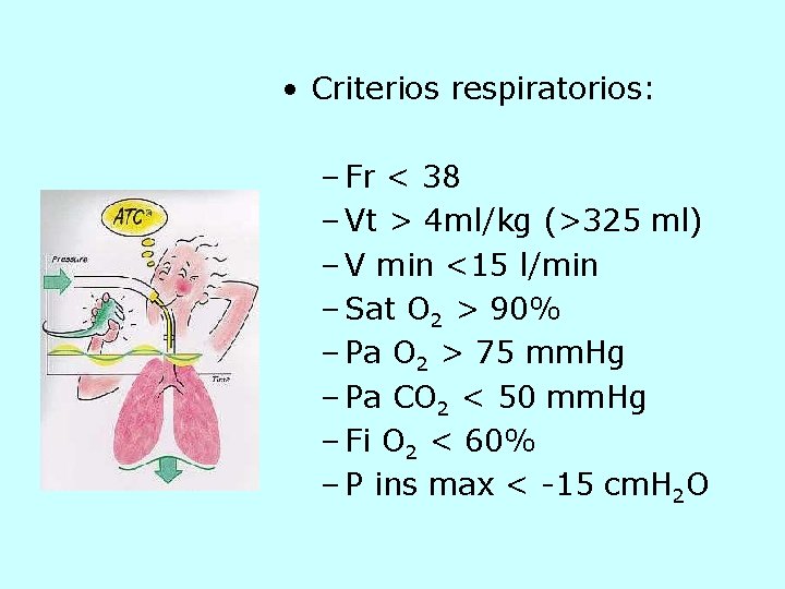  • Criterios respiratorios: – Fr < 38 – Vt > 4 ml/kg (>325