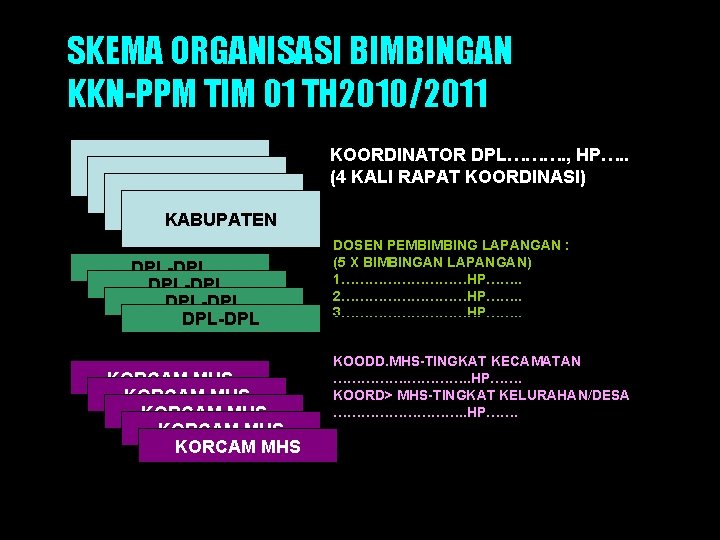 SKEMA ORGANISASI BIMBINGAN KKN-PPM TIM 01 TH 2010/2011 KABUPATEN DPL-DPL KORCAM MHS KORCAM MHS