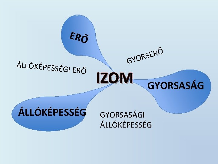 ERŐ ÁLLÓKÉPESSÉ GI ERŐ ÁLLÓKÉPESSÉG Ő R E S YOR G IZOM GYORSASÁGI ÁLLÓKÉPESSÉG