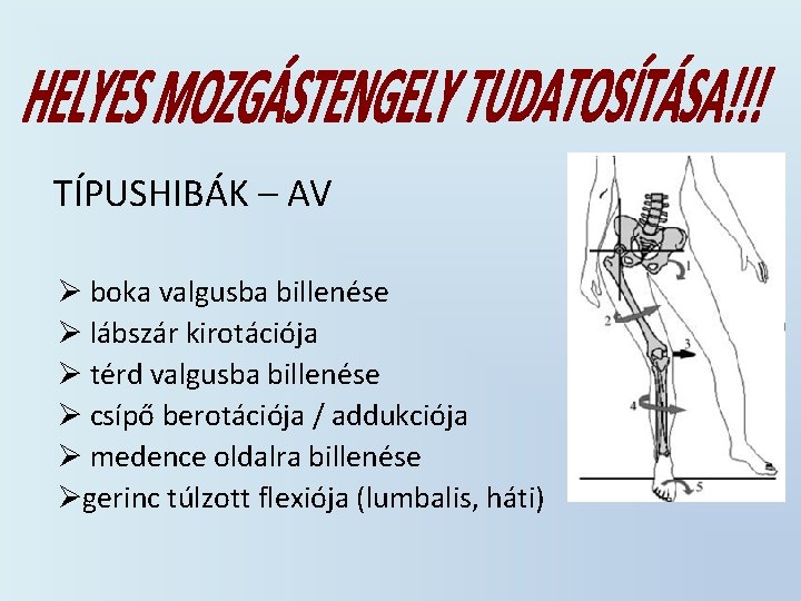 TÍPUSHIBÁK – AV Ø boka valgusba billenése Ø lábszár kirotációja Ø térd valgusba billenése