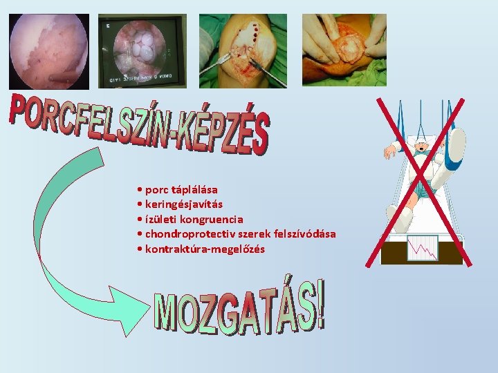  • porc táplálása • keringésjavítás • ízületi kongruencia • chondroprotectiv szerek felszívódása •