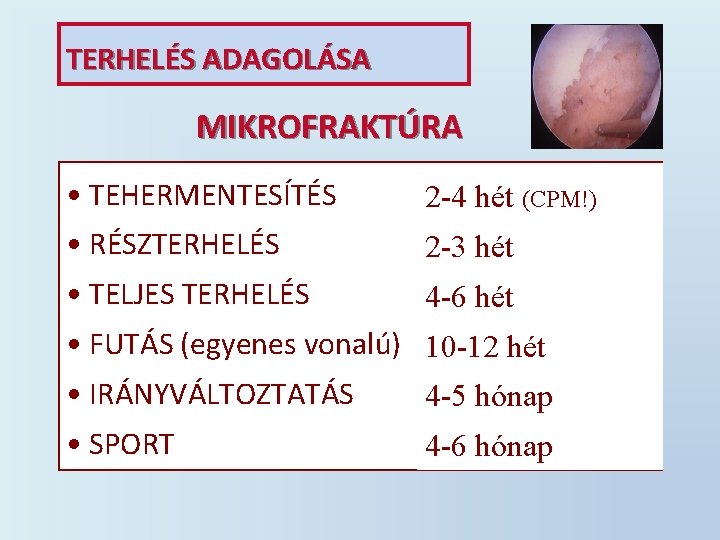 TERHELÉS ADAGOLÁSA MIKROFRAKTÚRA • TEHERMENTESÍTÉS 2 -4 hét (CPM!) • RÉSZTERHELÉS 2 -3 hét