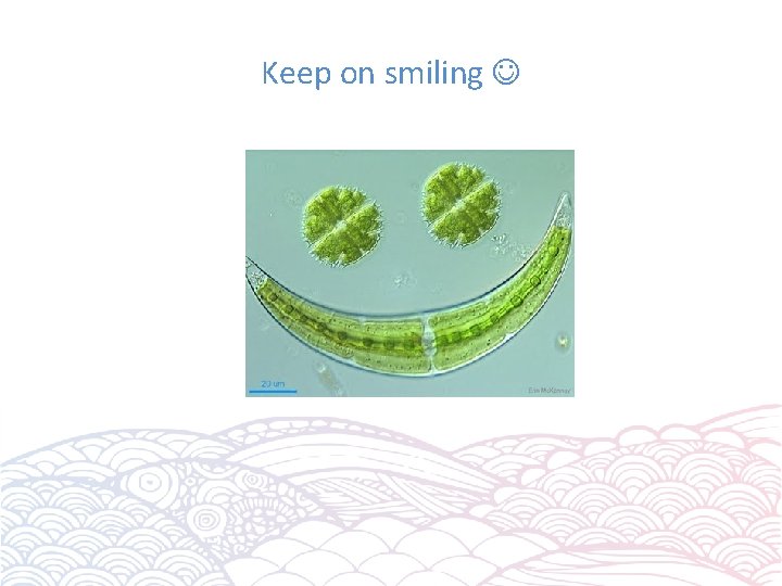 Keep on smiling 