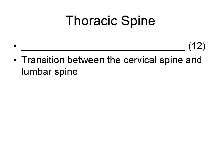 Thoracic Spine • _______________ (12) • Transition between the cervical spine and lumbar spine