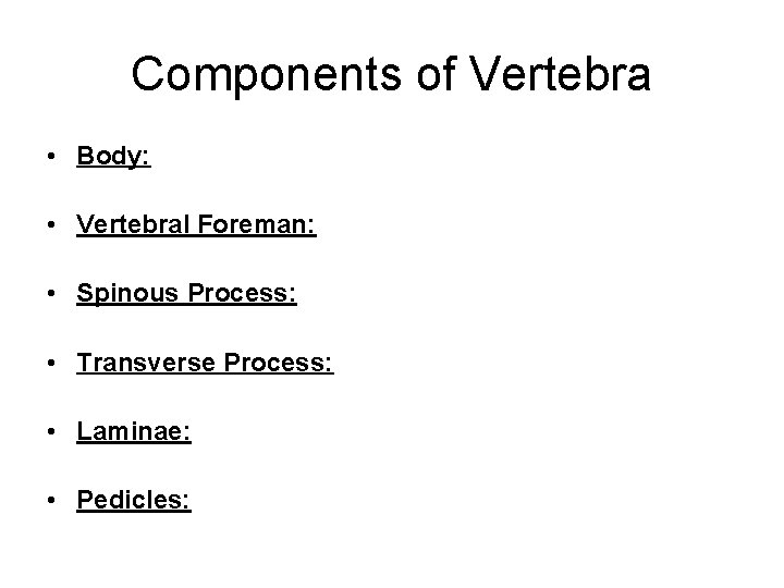 Components of Vertebra • Body: • Vertebral Foreman: • Spinous Process: • Transverse Process: