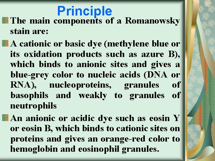 Principle The main components of a Romanowsky stain are: A cationic or basic dye