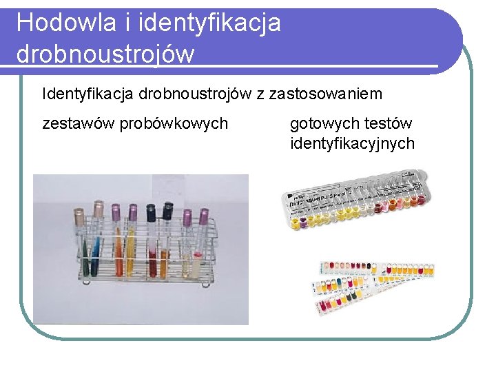 Hodowla i identyfikacja drobnoustrojów Identyfikacja drobnoustrojów z zastosowaniem zestawów probówkowych gotowych testów identyfikacyjnych 